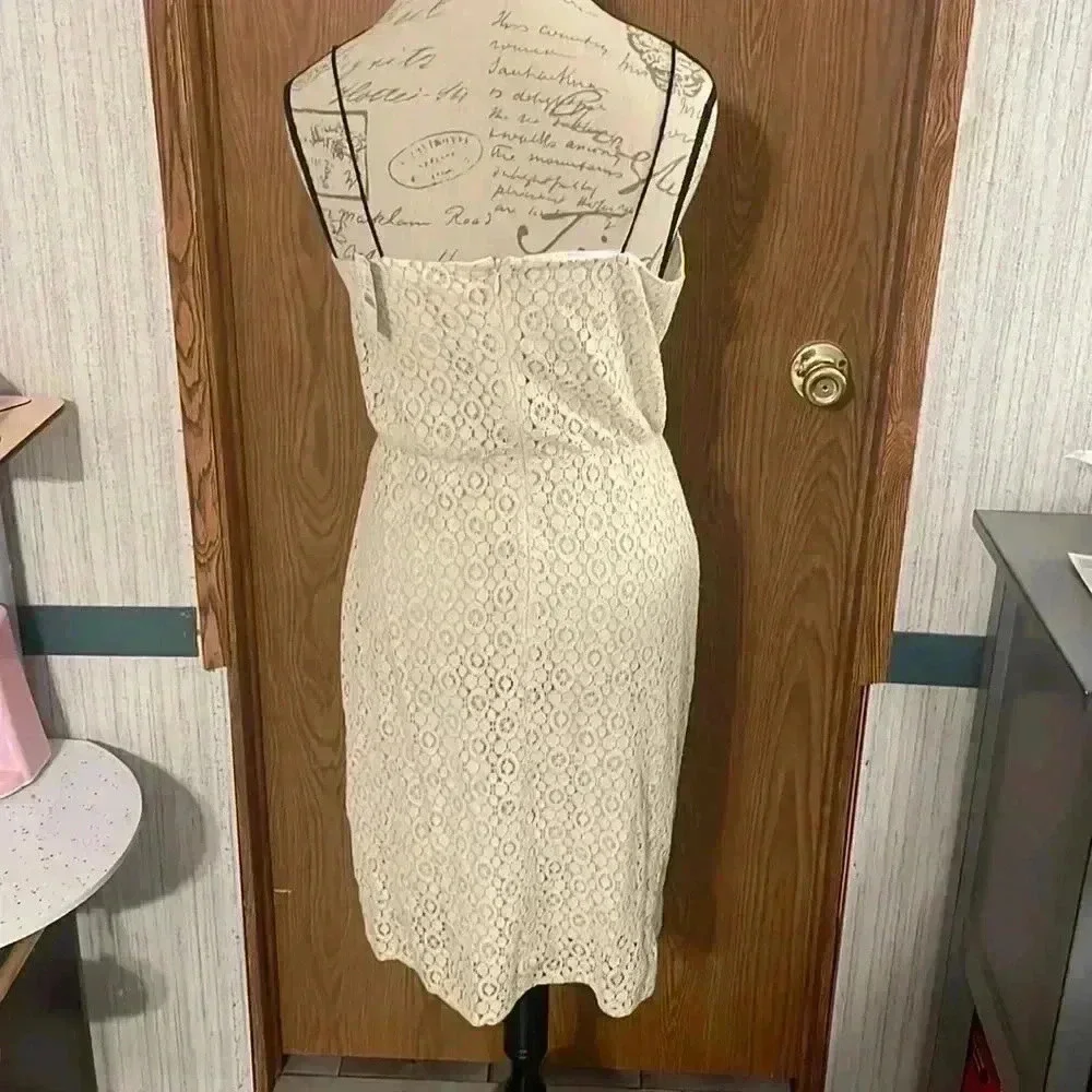 NWT J. Crews Dress